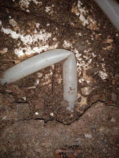 平和堵点精准查找